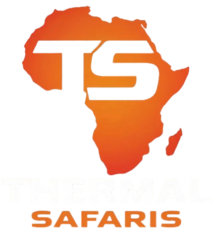 New_Logo-removebg-preview Thermal Safaris